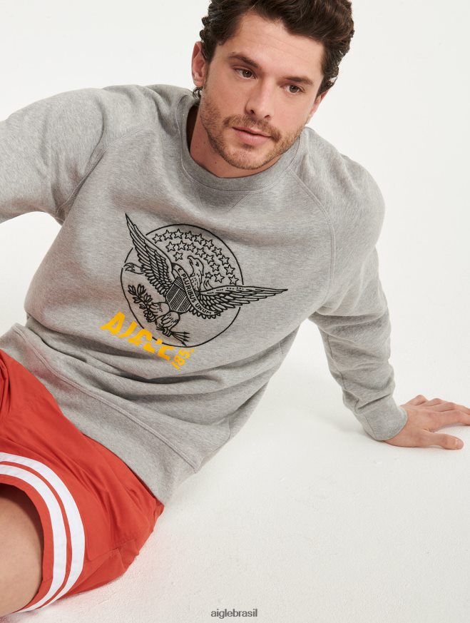 Aigle roupas moletom bordado com gola redonda cinza claro claro homens RX2B8882