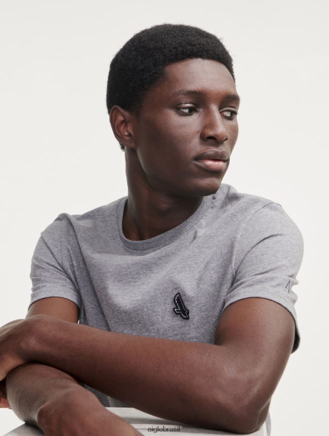 Aigle roupas camiseta com gola redonda urze cinza homens RX2B8868