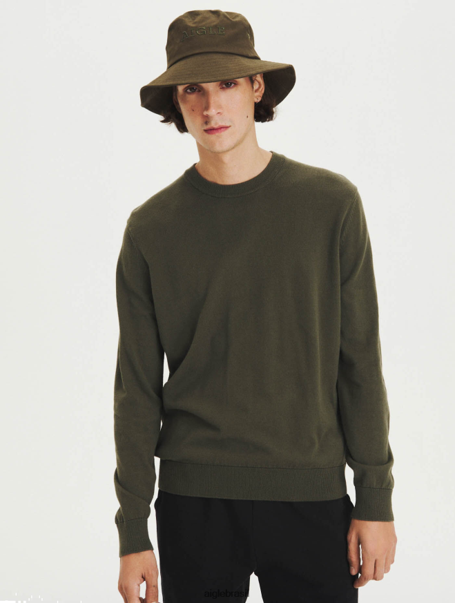 Aigle roupas suéter gola redonda em algodão orgânico advogado homens RX2B8891