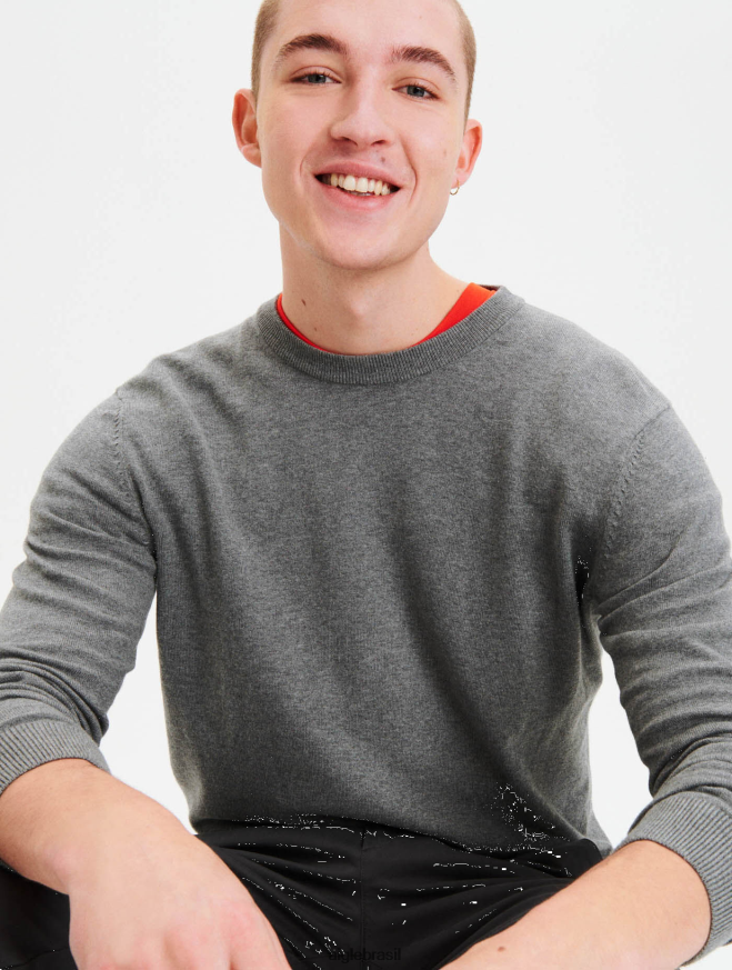 Aigle roupas suéter gola redonda em algodão orgânico urze cinza homens RX2B8834